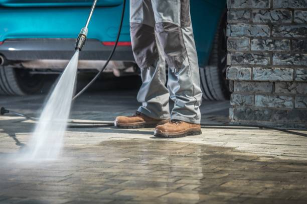 Best Gutter Cleaning and Brightening in Savannah, TX