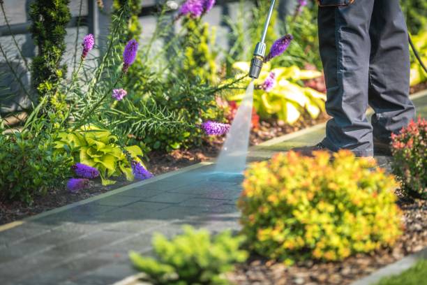 Professional Pressure Washing Services in Savannah, TX